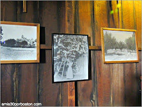 Winchester Mystery House. San José, California