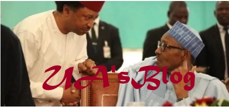 Shehu Sani hints Buhari on what to do in Saudi Arabia, UK