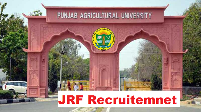 JRF Recruitment in Punjab Agricultural University