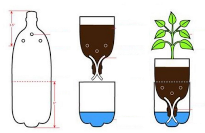 Hidroponik Botol Bekas