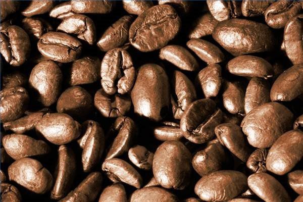 wholesale USA coffee beans distributor