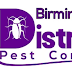 best pest control in Birmingham