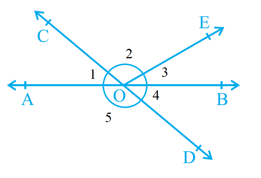 Exercise 6.1 Question 1 Answer