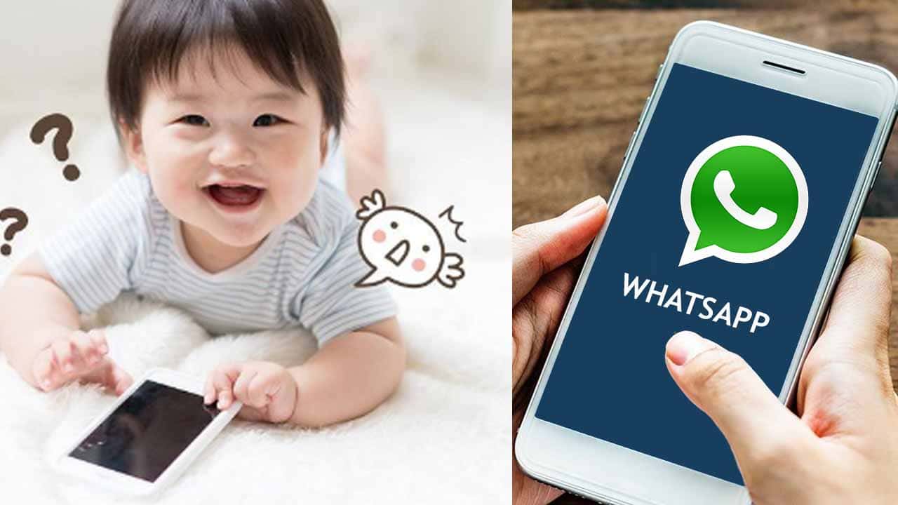 Tips dan Trik WhatsApp untuk Pemula