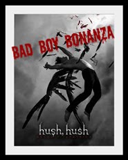 Hush, Hush Contest