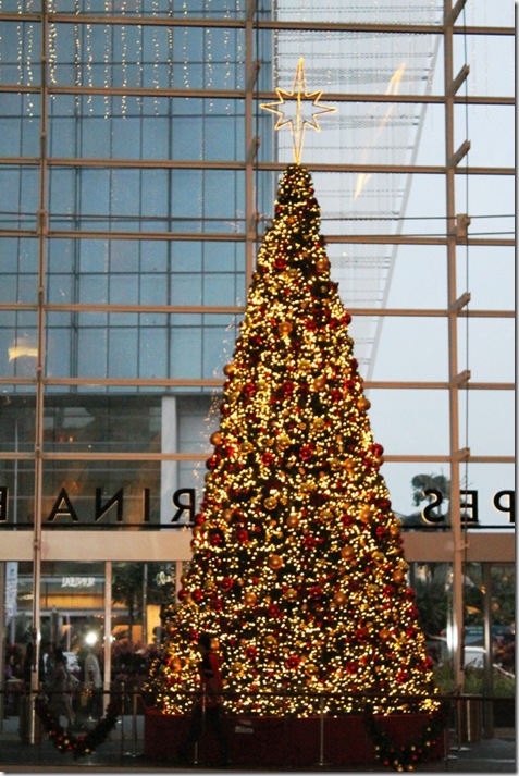 tIMG_5682