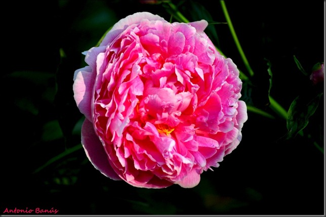 5 DSC_4935x1