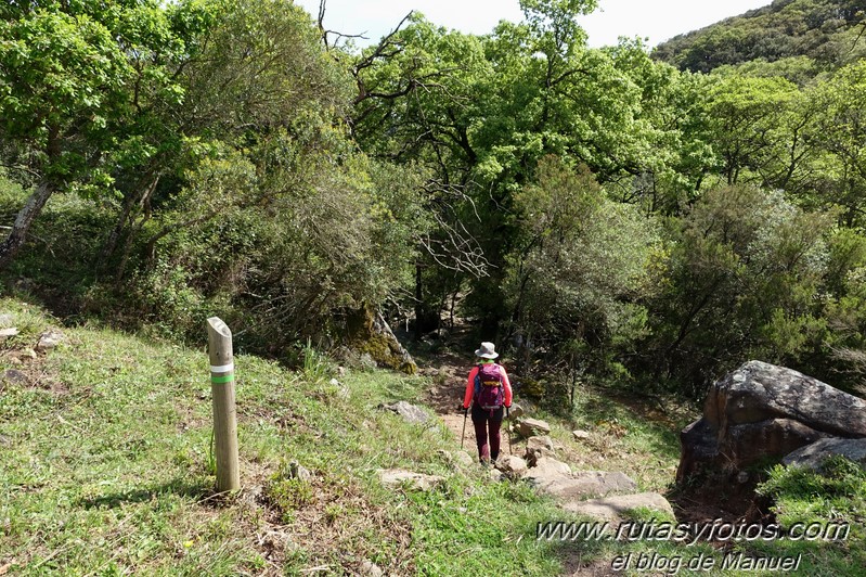 El Bujeo - Pista de la Algamasilla - Puerto de la Higuera - Río Guadalmesí