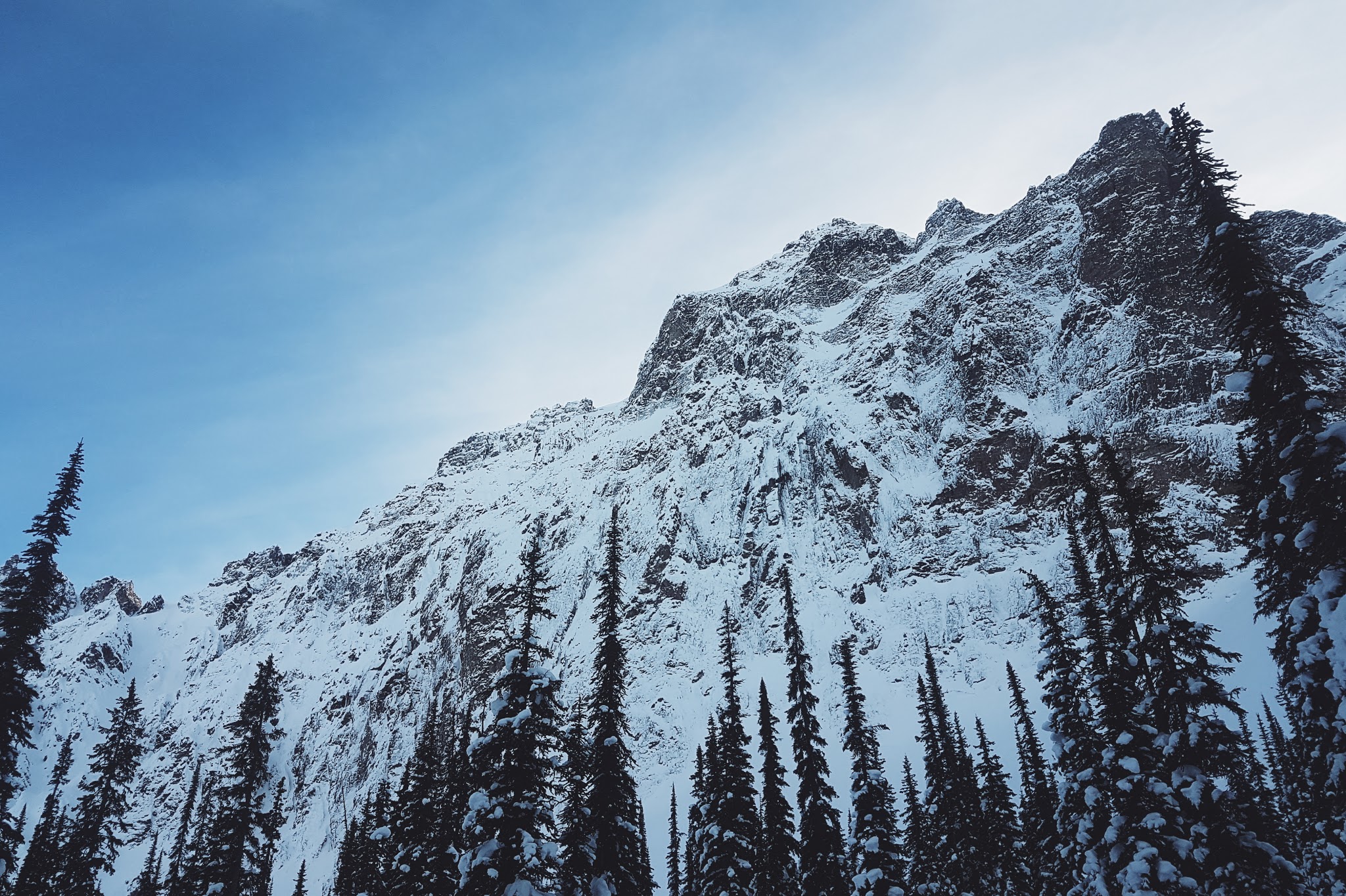 Full Day Kicking Horse Snowmobile Tour By Rocky Mountain Riders