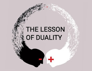 THE LESSON OF DUALITY