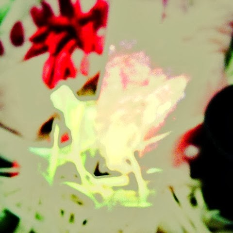 DSCF0008