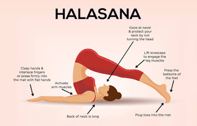 Halasana (The Pough Pose)