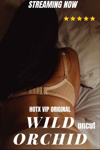 18+ Wild Orchid 2023 UNRATED Hindi 720p HEVC 100MB HDRip MKV