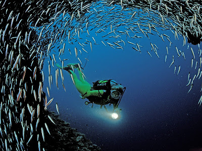 3D Underwater