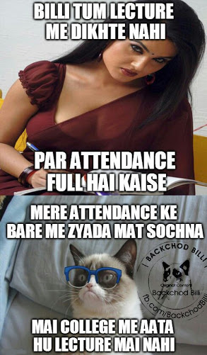 Bakchod Billi vs Sunny Leone Fumny Meme