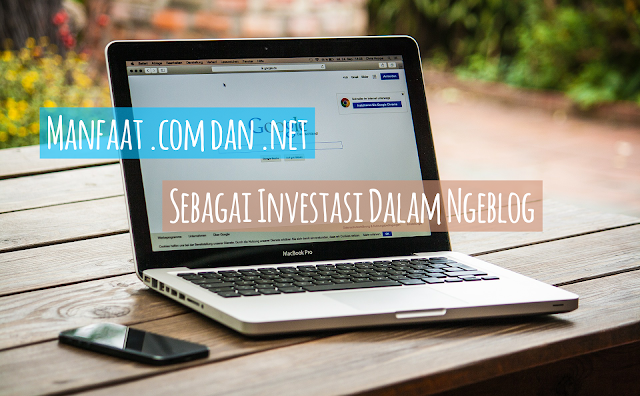 Keunggulan Menggunakan Top Level Domain .net/.com