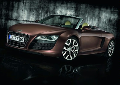 2010 Audi R8 Spyder Picture