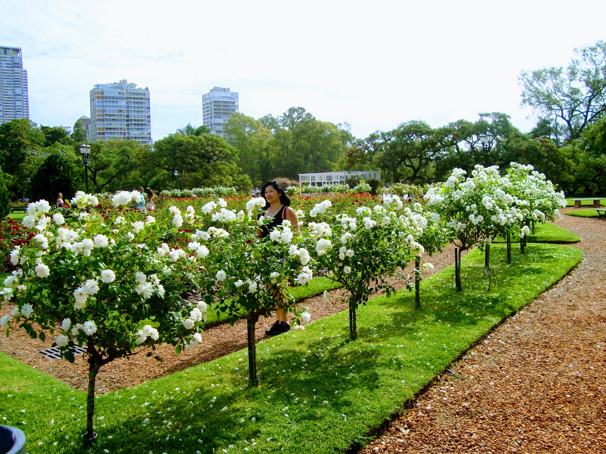 El Rosedal - um belo jardim de Buenos Aires