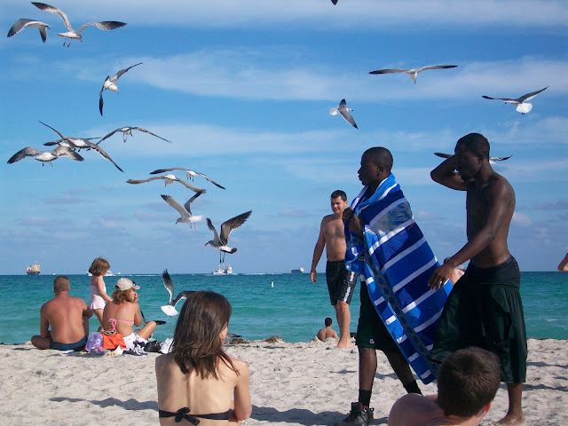 Seagulls,Beach,Photo