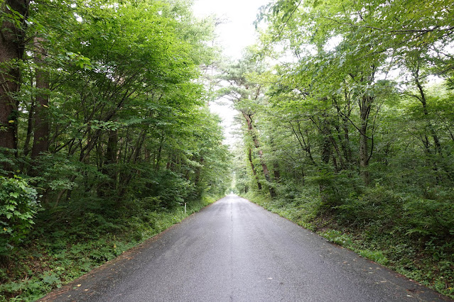 鳥取県道158号線大山口停車場大山線