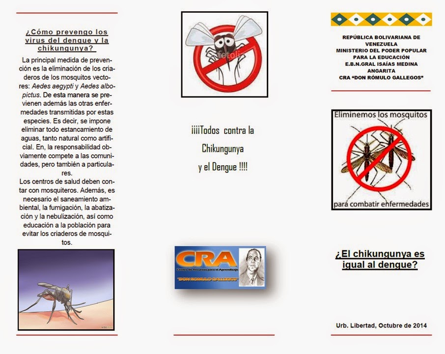 https://sites.google.com/site/craromulogallegos/TR%C3%8DPTICO%20DE%20CHIKUNGUNYA%20Y%20DENGUE.pdf?attredirects=0&d=1