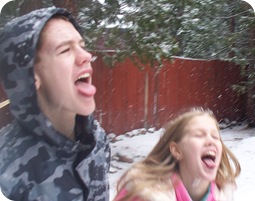 snow, 2012 024
