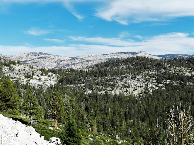 yosemite national park tioga road california