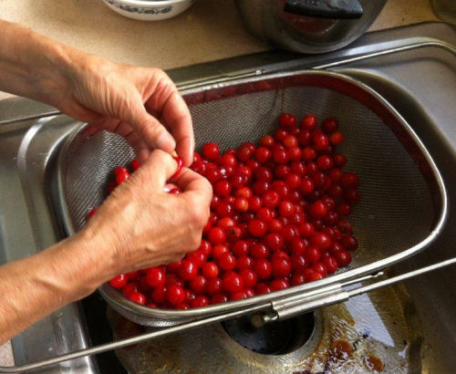 pitting cherries