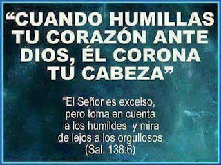 frase cita biblica