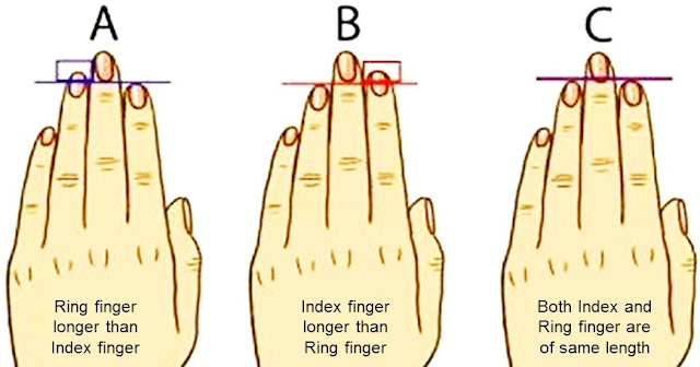 Three Parts and Qualities of Our Palm