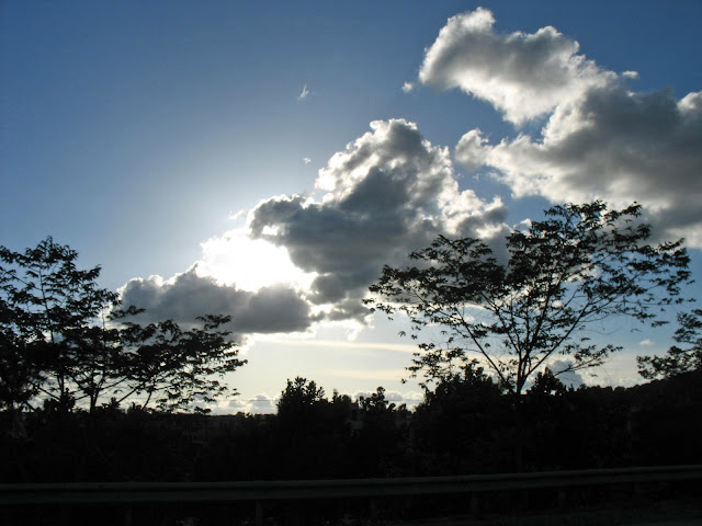 sun blinking and trees holding up the clouds