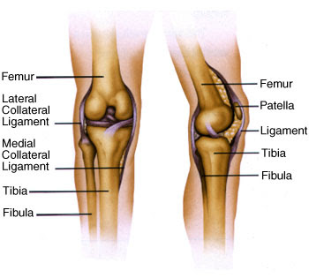 Knee Pain