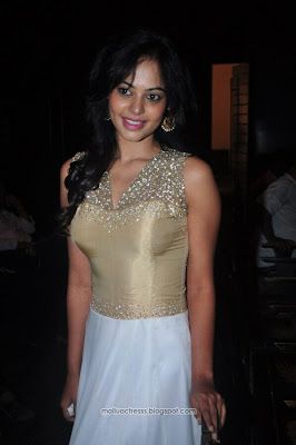 Bindu Madhavi sleveless tight dress