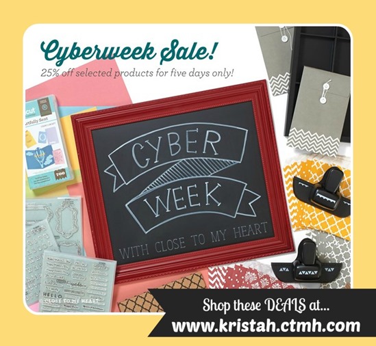 2015-11-cc-my info_cyberweek