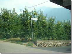 clip_image018