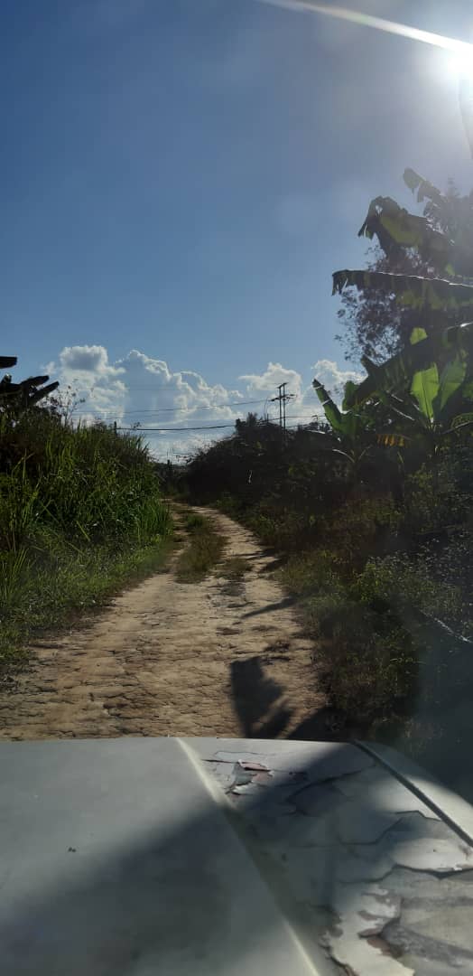 Tukang Sukat Tanah TUKANG SUKAT TANAH