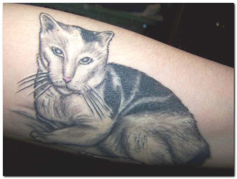 Cat Tattoos