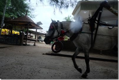 Gili Islands Snorkeling Trip