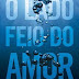 Resenha: O Lado Feio do Amor