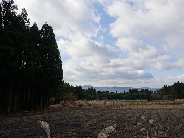 鳥取県道52号岸本江府線からの眺望