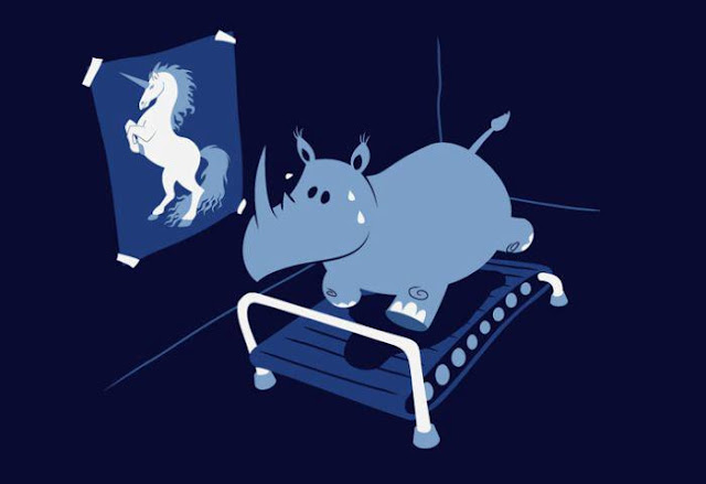 animals, funny pictures, rhino, unicorn, cartoon