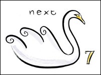 7 Swans swimming