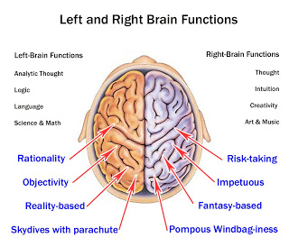 Brain Hemispheres4