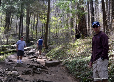 The entire trail was uphill