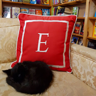 Una librería en Canadá está llena de adorables gatitos adoptivos que los clientes pueden adoptar