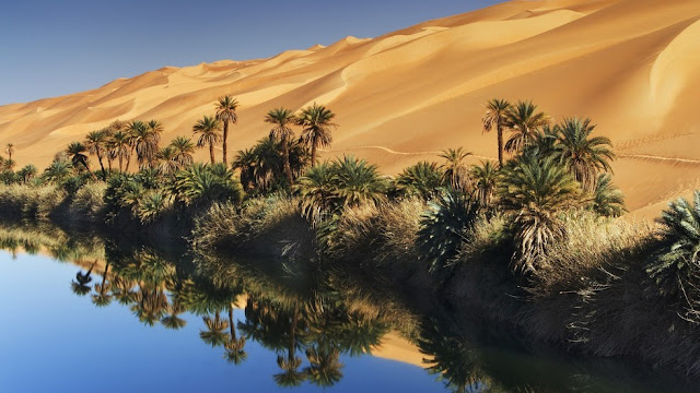 Fabulous Oasis in The Libyan Sahara