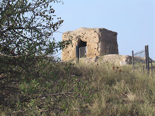 Magna Capitanata  -Torremaggiore