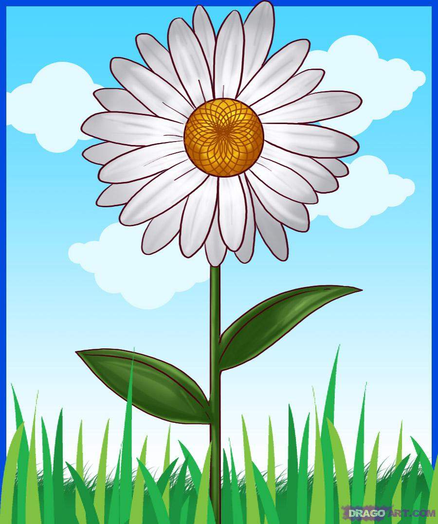 Gambar: Gambar Kartun Bunga