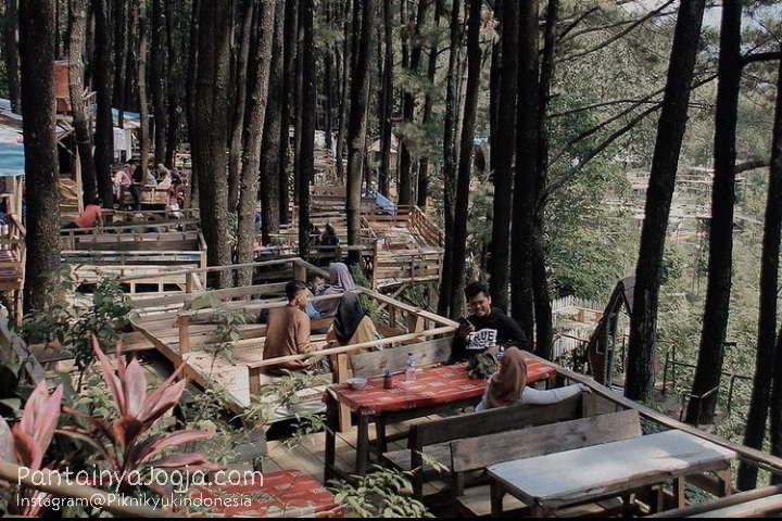 Wisata Hutan Pinus Sentul