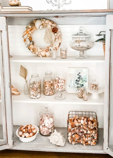 Shell Collection Display Ideas in Glass Cabinets